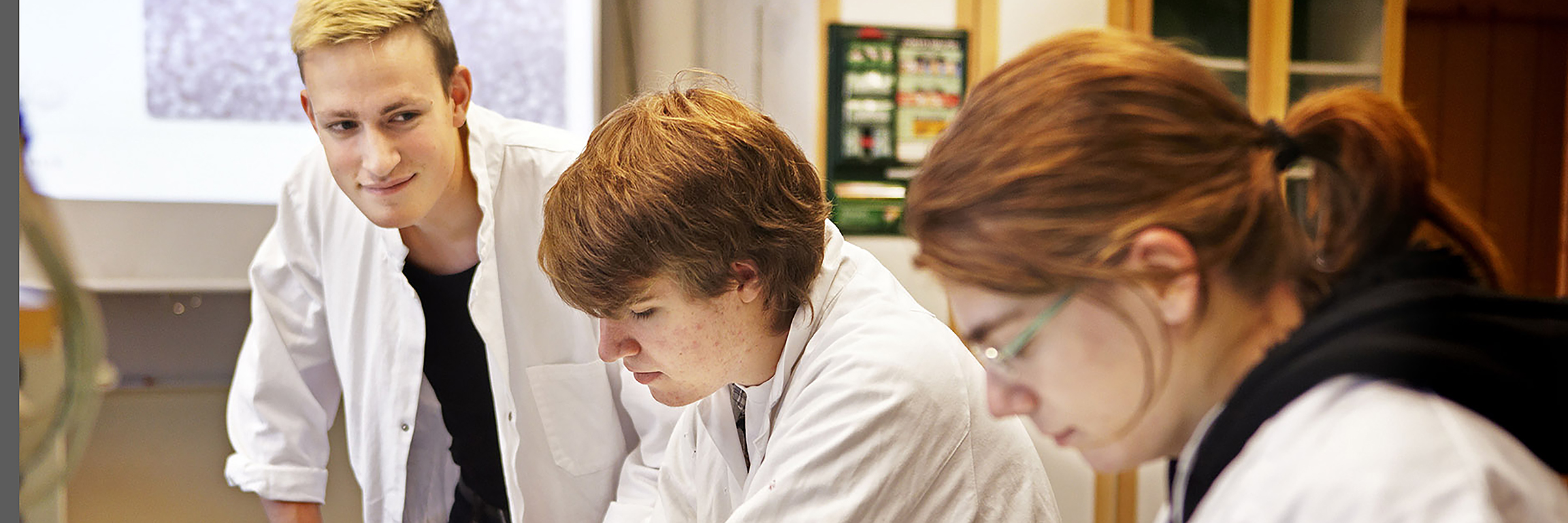 Besöksledare handleder elever i kemi
