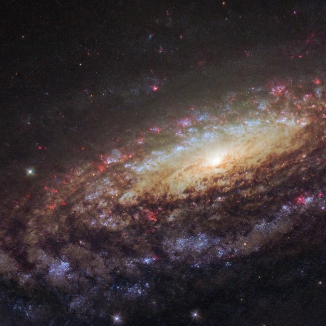 Bild tagen av NASA/ESA/Hubble
